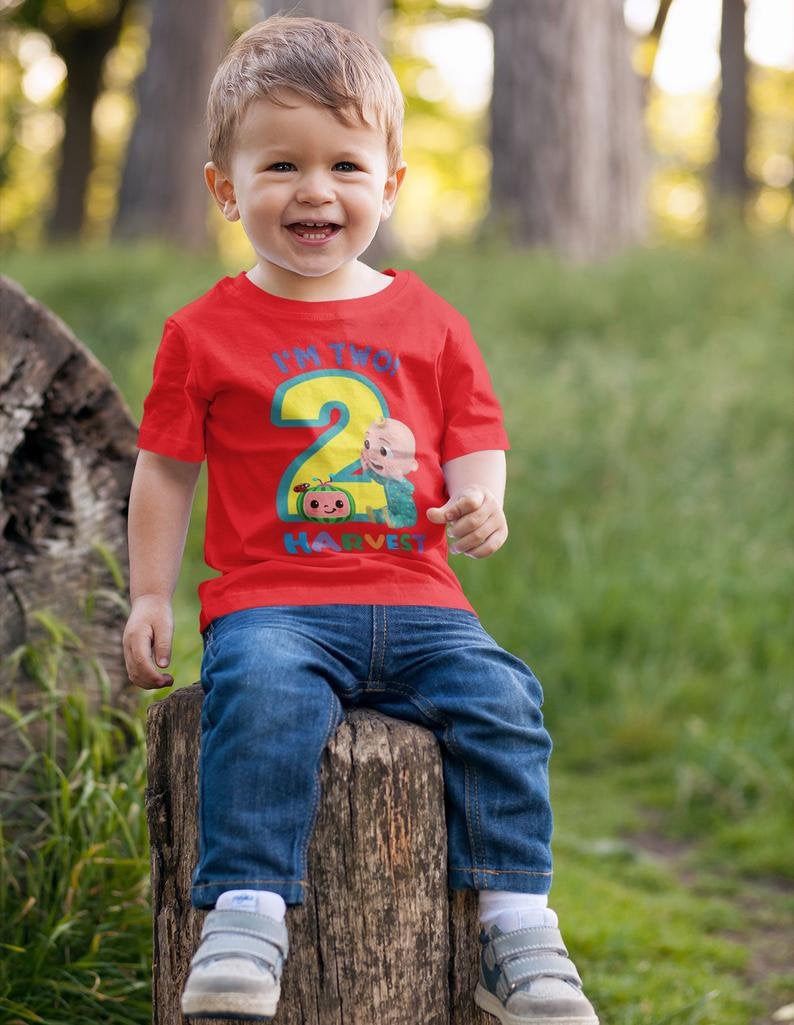 Watermelon Birthday Theme party T-Shirts, Family Matching shirts for Birthday Party, Birthday Day Boy, Girl Cocomelon cake matching shirts